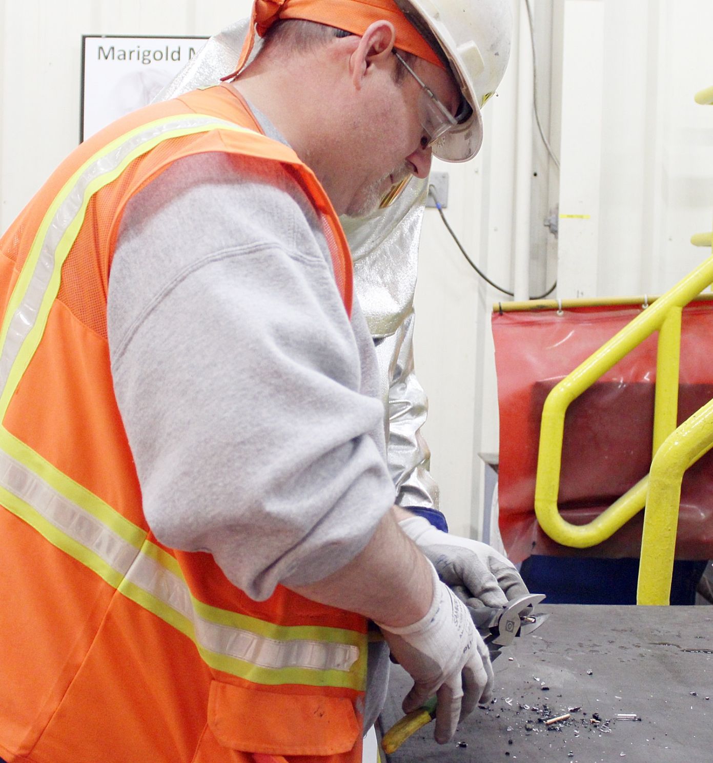 Marigold increases production, hopes to expand